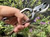 Kéo cắt cành bonsai, cây cảnh Soke Hidehisa vip thép đặc biệt ghép gỗ Bubinga ( Gỗ Cẩm Lai ) nội địa Nhật T106 - anh 1