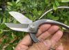Kéo cắt tỉa cành nhỏ, cắm hoa, cắt rễ bonsai thép trắng Nhật Bản 165mm - D1309 - anh 4