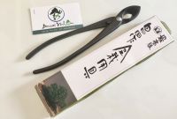 Kìm cạp xéo bonsai, cây cảnh Masakuni Nhật Bản 220mm - D5005