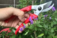 Kéo cắt cành bonsai, cây cảnh Ars Nhật Bản 130dx - D1018